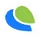 Visa Payment Option